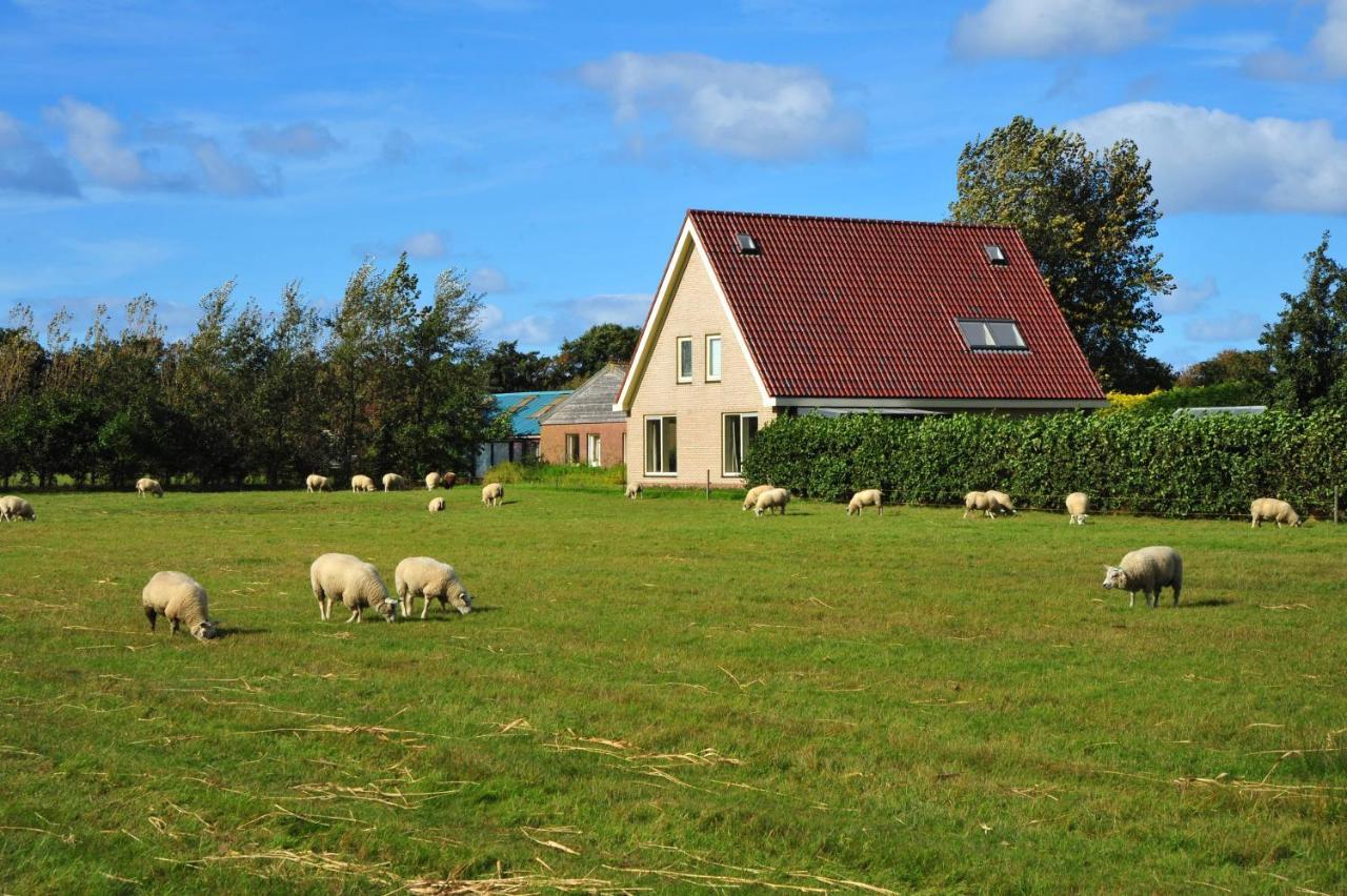 Witte Weelde Texel Acomodação com café da manhã De Koog  Exterior foto